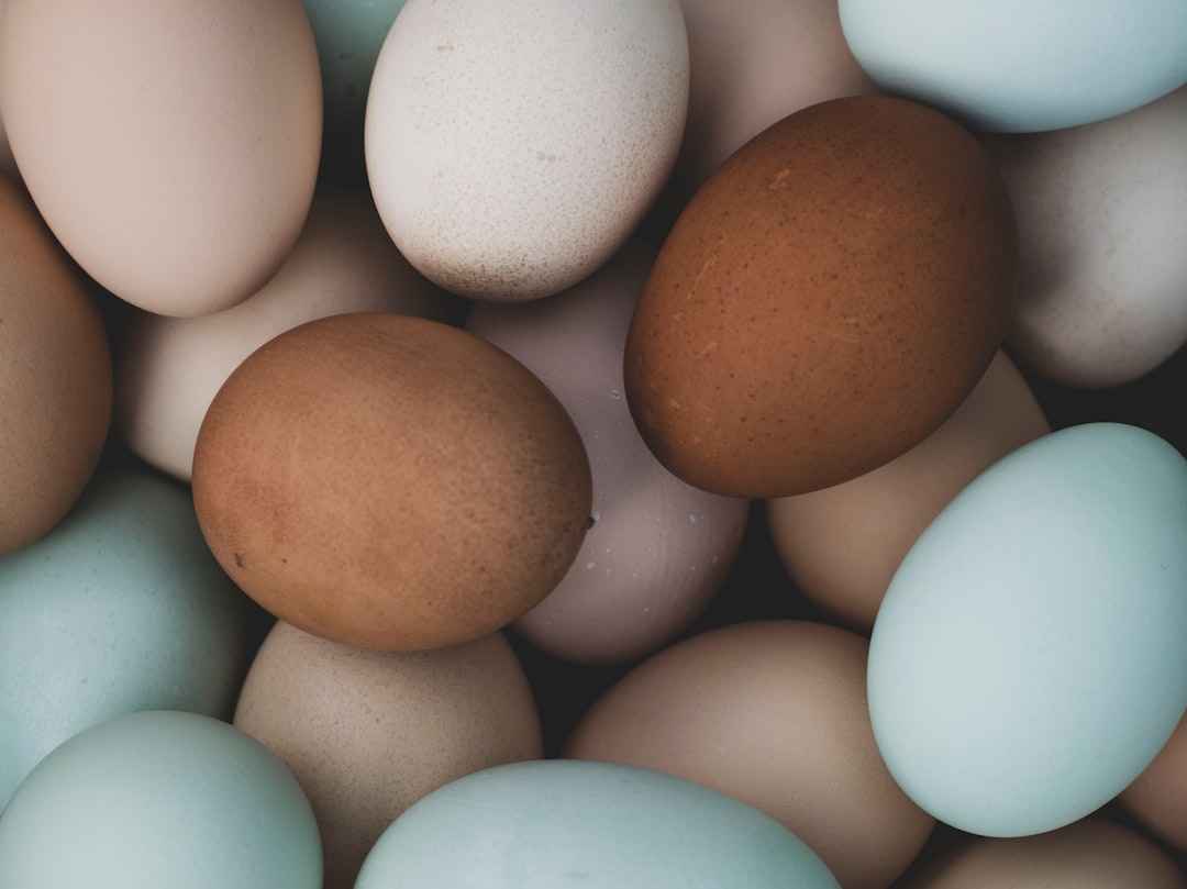 Cuánta proteína necesitas al día según tu peso y objetivo